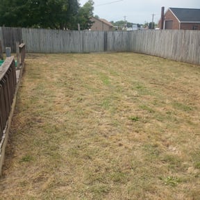 Landscaping by Rose Lawn and Landscape, LLC reviewed on May 26, 2022