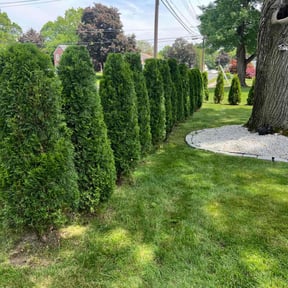 Bush Trimming by Mowpro1 reviewed on April 20, 2022