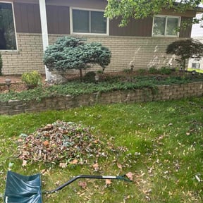 Bush Trimming by Schlener Lawn Care reviewed on August 3, 2022