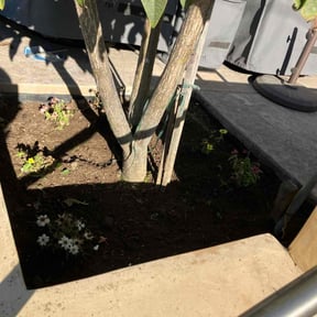 Flower Bed Weeding by George Islas reviewed on December 1, 2022