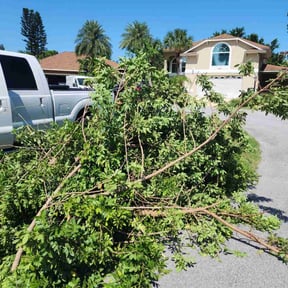 Bush Trimming by Cummings and Cummings Lawn Care reviewed on January 15, 2025