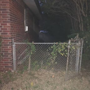 Bush Trimming by T F Lawn Care Services reviewed on June 18, 2020