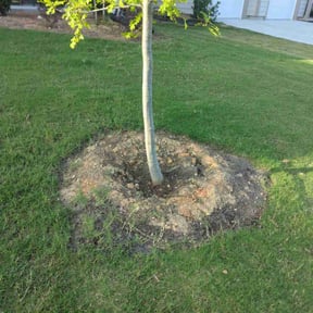 Cleanups by Arctic plowing & lawn care llc reviewed on June 30, 2022