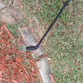 Flower Bed Weeding by Diesel Dog Lawn Care LLC reviewed on August 31, 2020