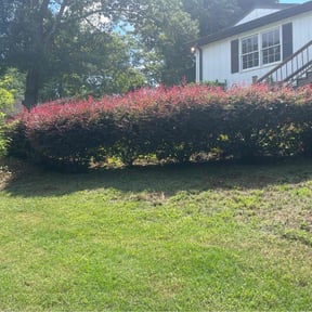 Weeding by ATM reviewed on August 30, 2024