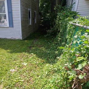 Bush Trimming by Affordable Lawncare Co. reviewed on May 24, 2025