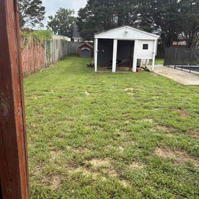 Cleanups by MiyServices Lawncare, Tree Removal and Construction reviewed on August 23, 2024