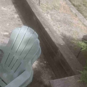 Flower Bed Weeding by Taylor’d Lawn Experience reviewed on July 15, 2025