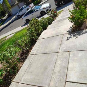 Bush Trimming by Aviles Landscaping Services reviewed on March 23, 2020