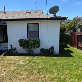 Bush Trimming by Ocampo Lawn care reviewed on June 28, 2022