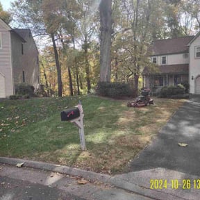 Leaf Removal by Iowa Lawn and Plow, LLC reviewed on May 20, 2022