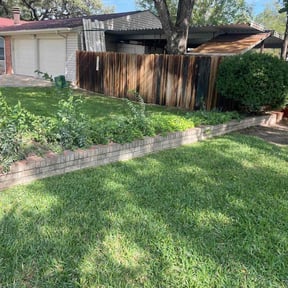 Bush Trimming by Loza Lawn Care reviewed on December 26, 2021