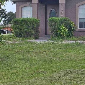 Bush Trimming by BBCNP Services reviewed on August 28, 2024