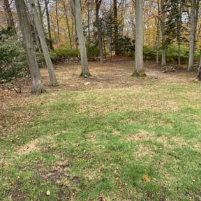 Cleanups by American Rose Landscaping LLC reviewed on May 5, 2022