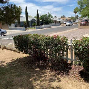 Bush Trimming by Alpha Brothers Propery Maintenance reviewed on April 28, 2022