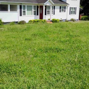 Flower Bed Weeding by Reil Lawn Company LLC reviewed on May 19, 2022