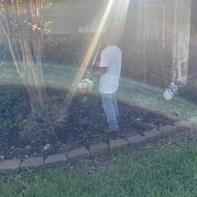 Bush Trimming by Gants lawn care reviewed on June 4, 2022