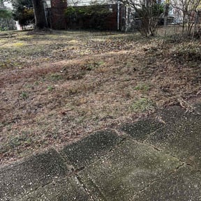 Leaf Removal by T & S Lawn Care Services reviewed on April 15, 2022