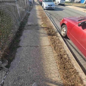 Leaf Removal by LSLTDallas/FortWorthTruGreen reviewed on April 2, 2025