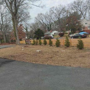 Leaf Removal by CRP Landscape reviewed on December 27, 2024