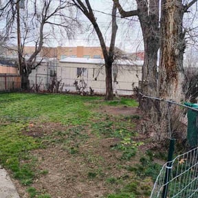 Leaf Removal by Ross lawncare reviewed on June 18, 2020