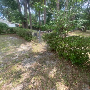 Bush Trimming by Mario's pro Maintenance And Installation reviewed on October 9, 2021