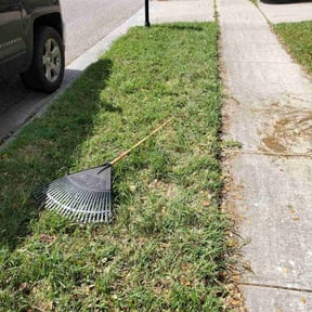 Leaf Removal by Band of Blades reviewed on July 9, 2025