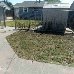 Cleanups by Ace lawn care reviewed on April 3, 2025