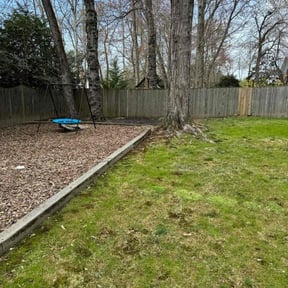 Leaf Removal by Lawn services JAV reviewed on September 6, 2024