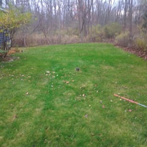 Leaf Removal by HM's Superior Landscape & Design reviewed on July 26, 2022