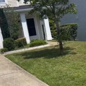 Bush Trimming by Active Do It All Lawn Care reviewed on June 18, 2025