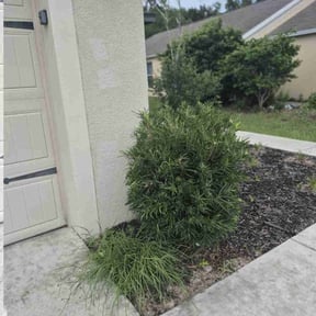 Bush Trimming by Hookers Junk Removal reviewed on June 20, 2022