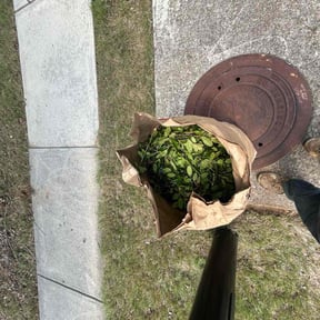 Bush Trimming by RightWay Lawncare and Property Maintenance reviewed on April 30, 2022