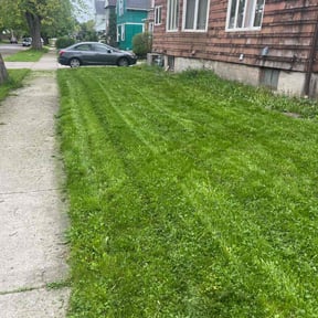 Leaf Removal by Jstotalservices reviewed on August 16, 2021