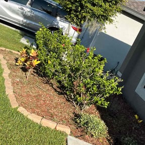 Flower Bed Weeding by RTH Lawn Service & Landscaping LLC reviewed on December 14, 2024