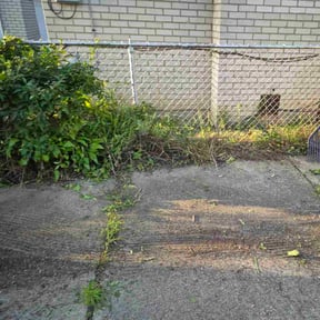 Bush Trimming by Green Earth Lawn and snow LLC reviewed on May 11, 2025