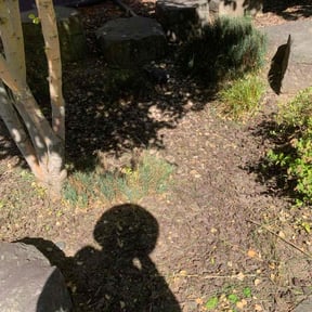 Cleanups by Corte de césped reviewed on April 18, 2025