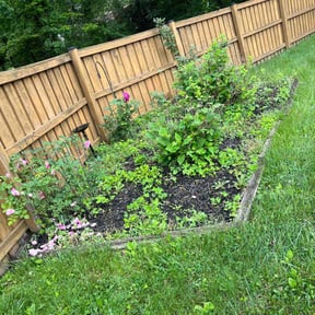 Flower Bed Weeding by Ziolkowski Lawcare reviewed on November 3, 2022