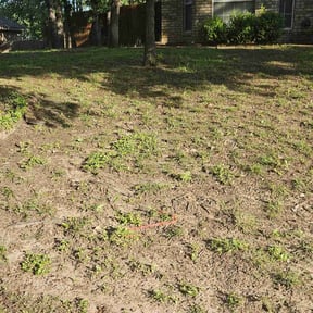 Leaf Removal by Neighborhood Mow & Go LLC reviewed on October 15, 2022