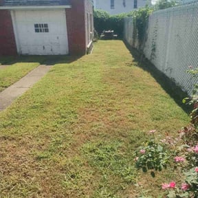 Cleanups by Van Woolley Handyman Services reviewed on August 5, 2025