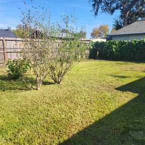 Cleanups by Keila landscaping reviewed on August 14, 2025