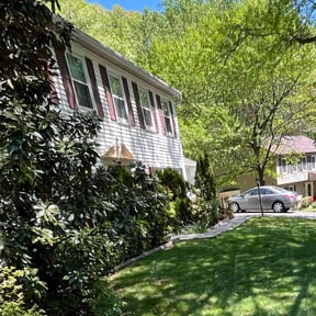 Bush Trimming by Kelsie's lawn pros reviewed on July 20, 2022