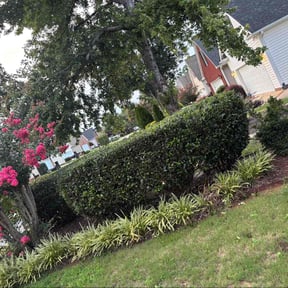 Bush Trimming by TKW lawn maintenance reviewed on March 23, 2025