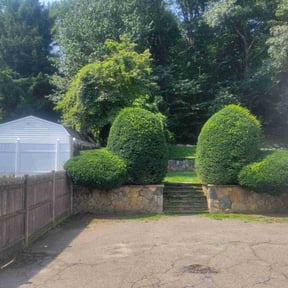 Bush Trimming by Lindsay’s lawncare reviewed on June 2, 2022