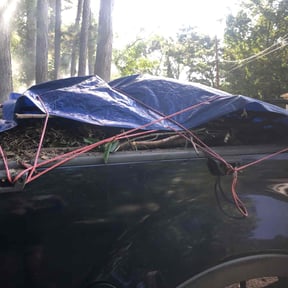 Leaf Removal by JEFC Landscaping reviewed on July 22, 2025