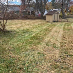 Leaf Removal by AMERICA'S BEST LAWN SERVICE LLC reviewed on May 4, 2021