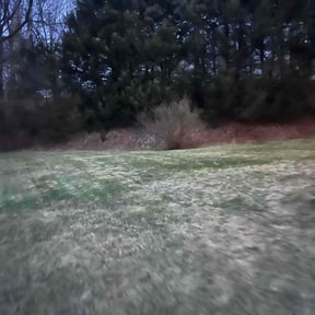 Leaf Removal by Clean cut lawn care reviewed on July 15, 2022