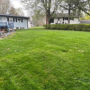 Cleanups by Evergreen property services reviewed on May 18, 2025