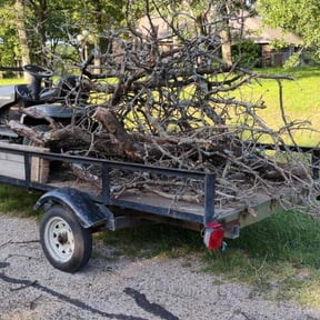 Cleanups by JR Lawn Maintenance reviewed on June 7, 2022
