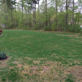 Landscaping by Tilcco reviewed on July 14, 2022